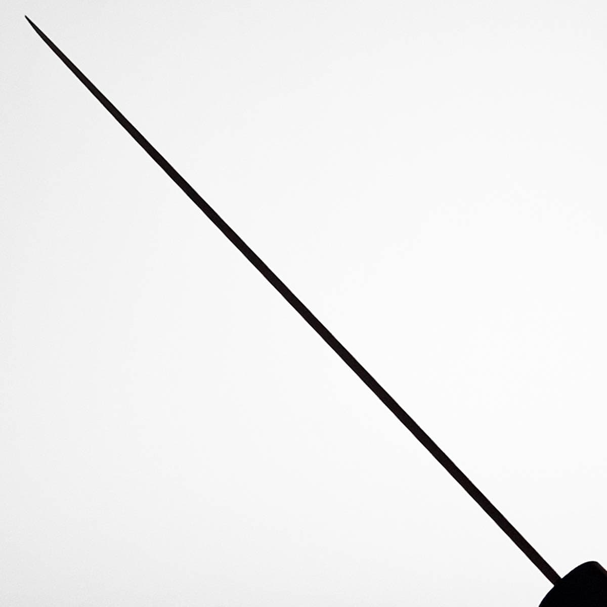 21cm Kokkekniv (Gyoto) Zen - TOJIRO bilde 4