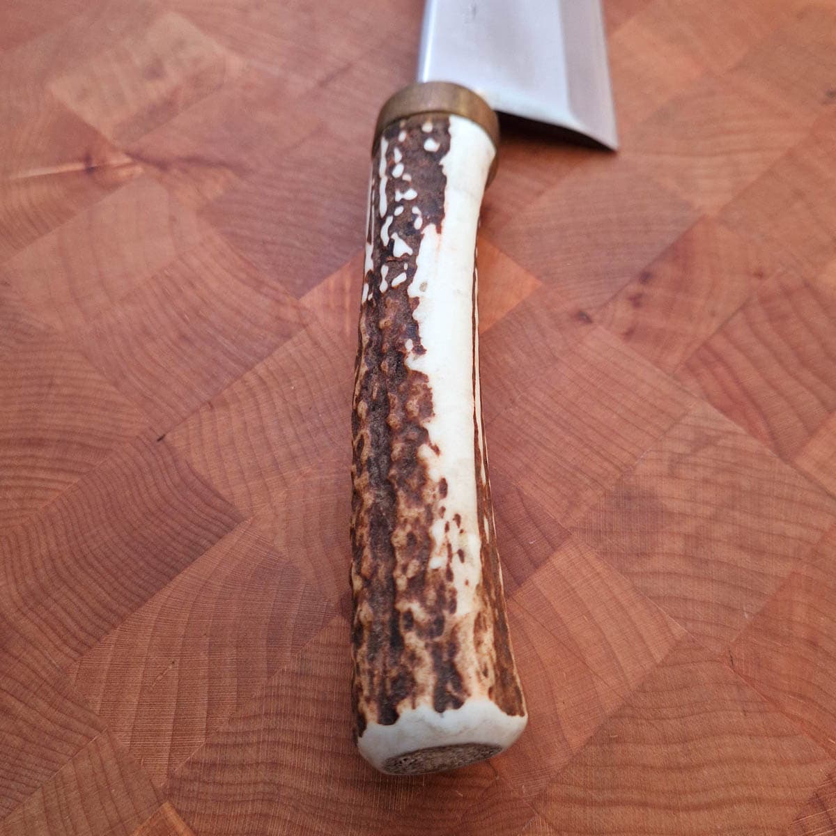 15cm Deba, "Stag handle", G3 - Saji bilde 4