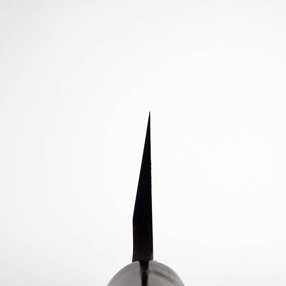 15cm Usuba (tradisjonell), Shirogami II - Sakai Takayuki bilde 5