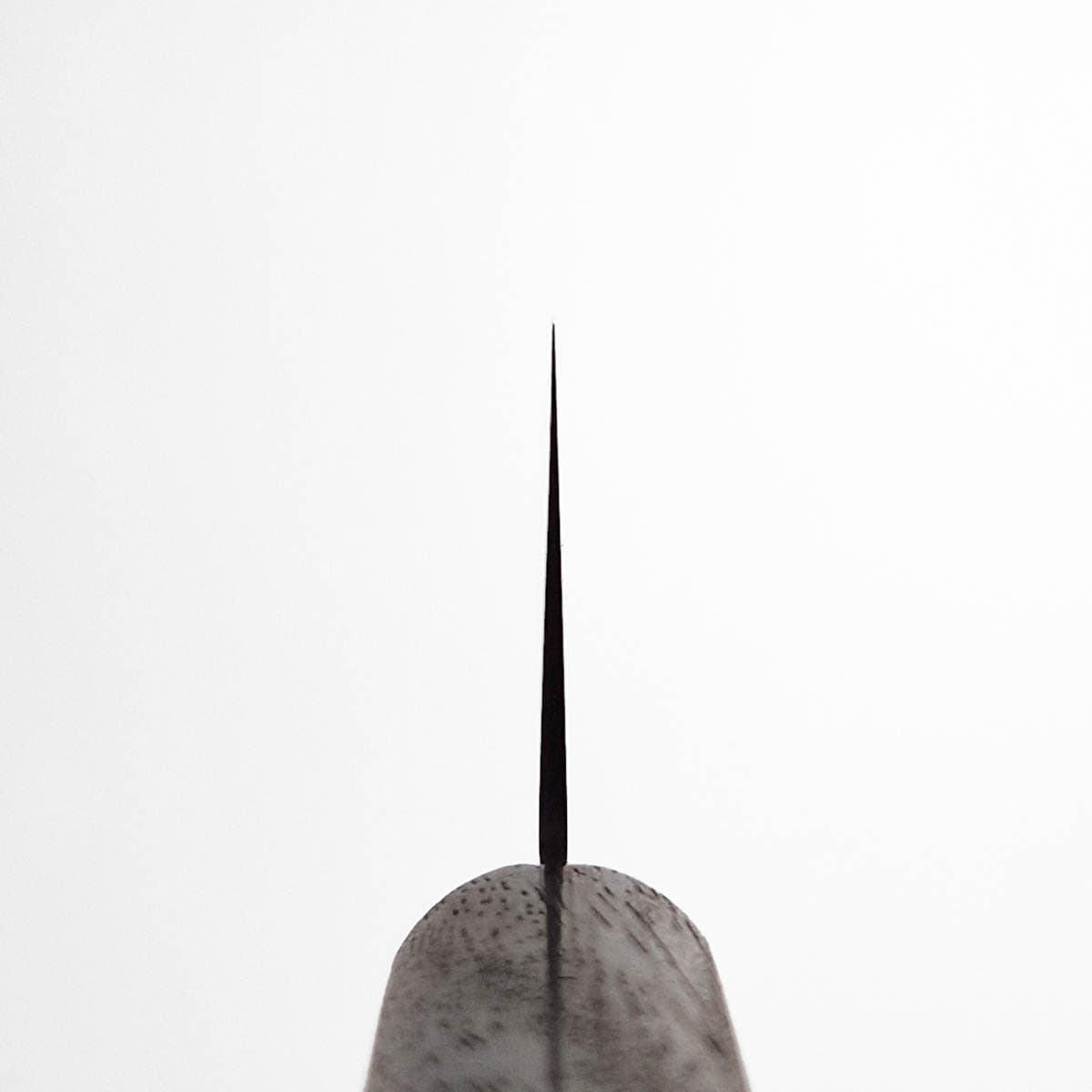 17cm Grønnsakskniv (Santoku), 8A - KANETSUGU bilde 5