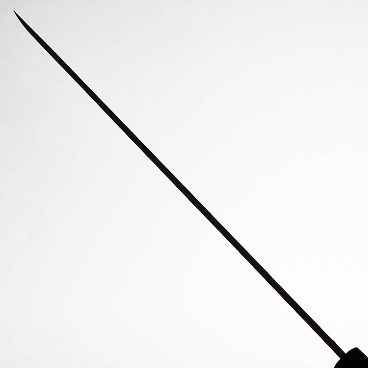 27cm Yanagiba, Venstre hendt, Shirogami II - TOJIRO bilde 6