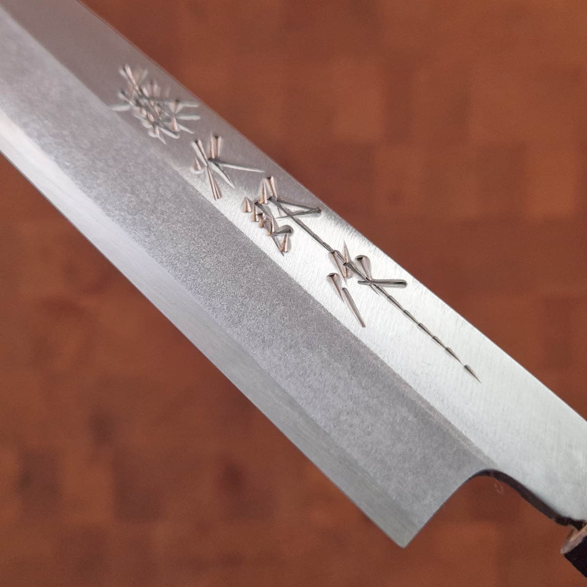 24cm Yanagiba, Venstre hendt, Shirogami II - TOJIRO bilde 3
