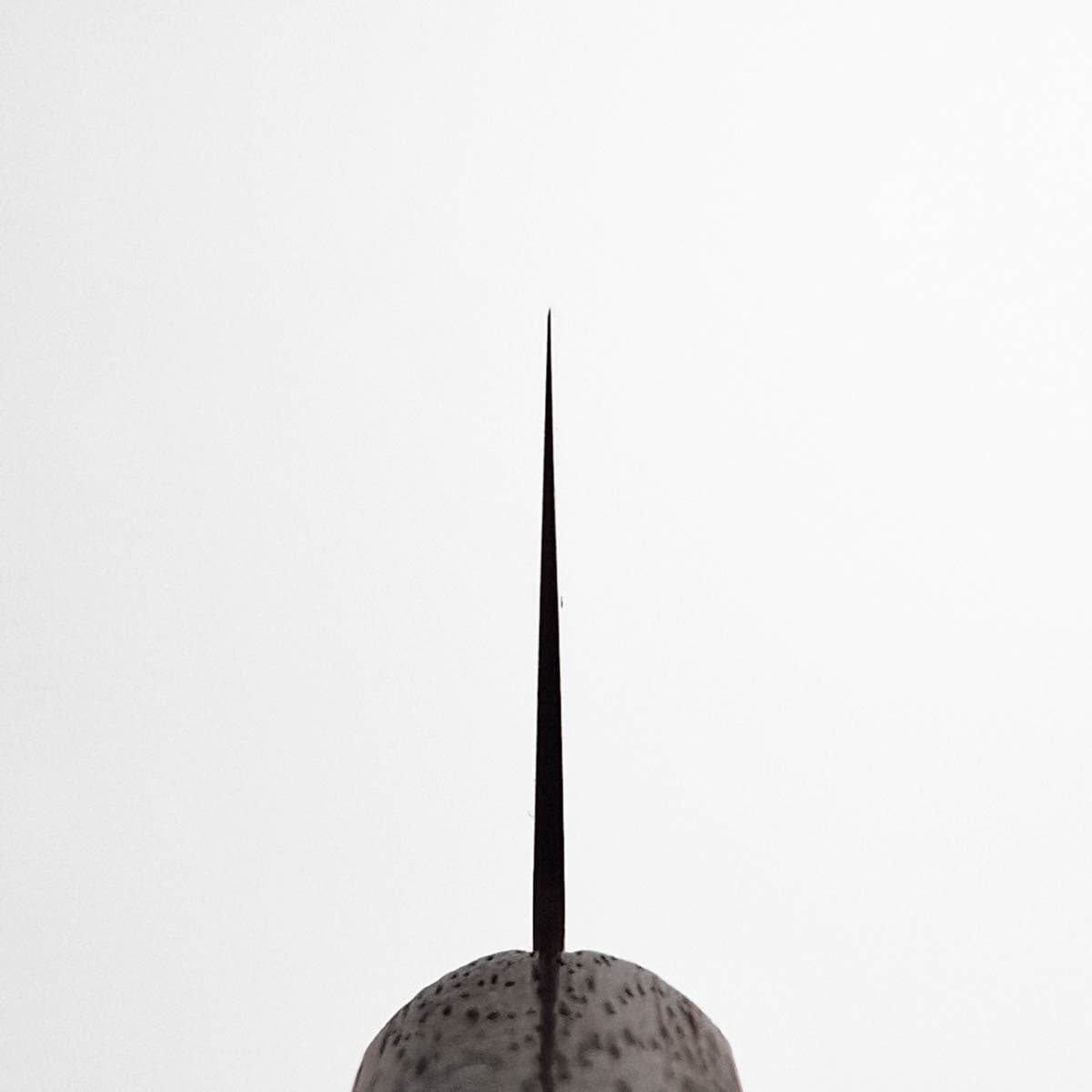 21cm Kokkekniv, 8A - KANETSUGU bilde 5