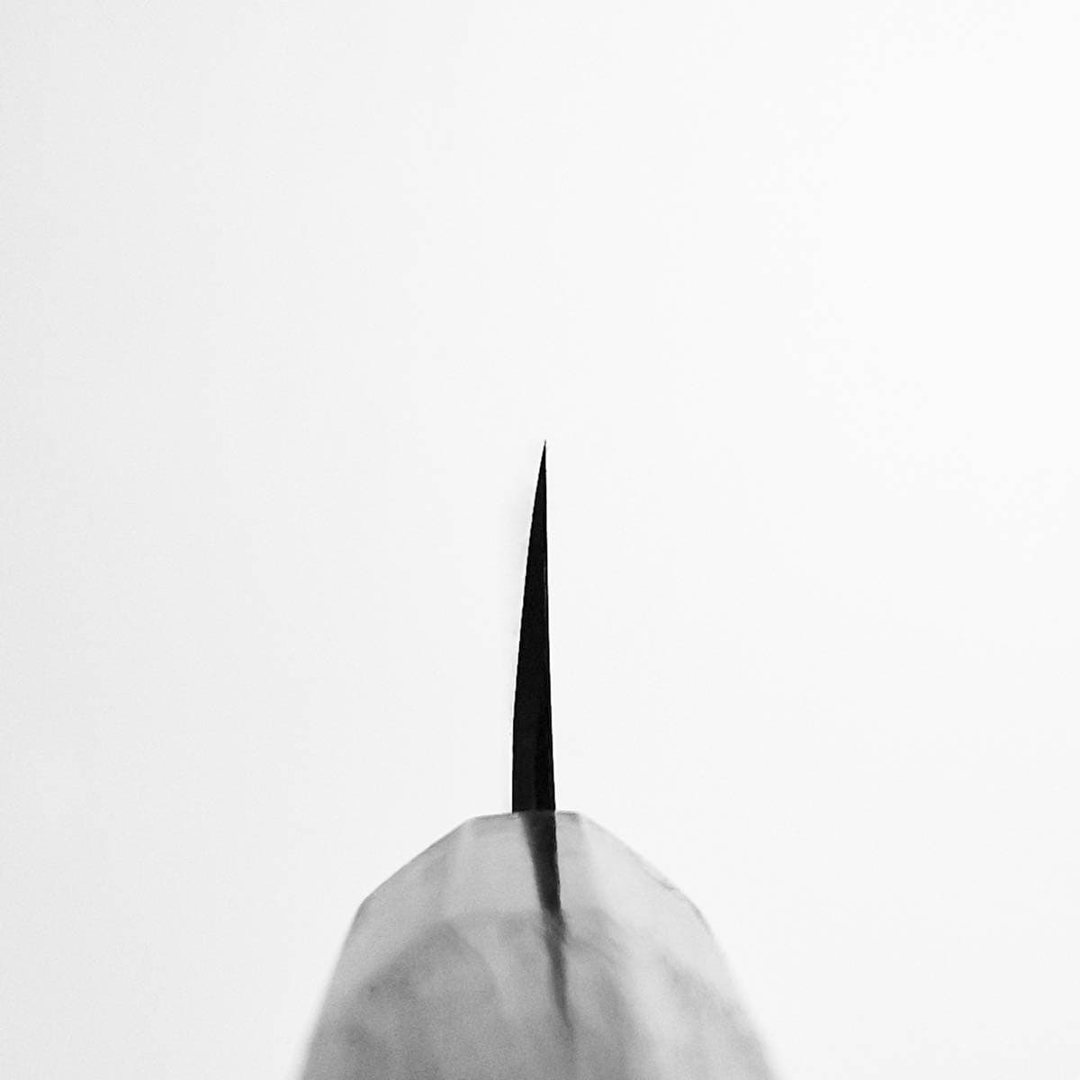 24cm Kiritsuke Shirogami - HIDEO KITAOKA bilde 5