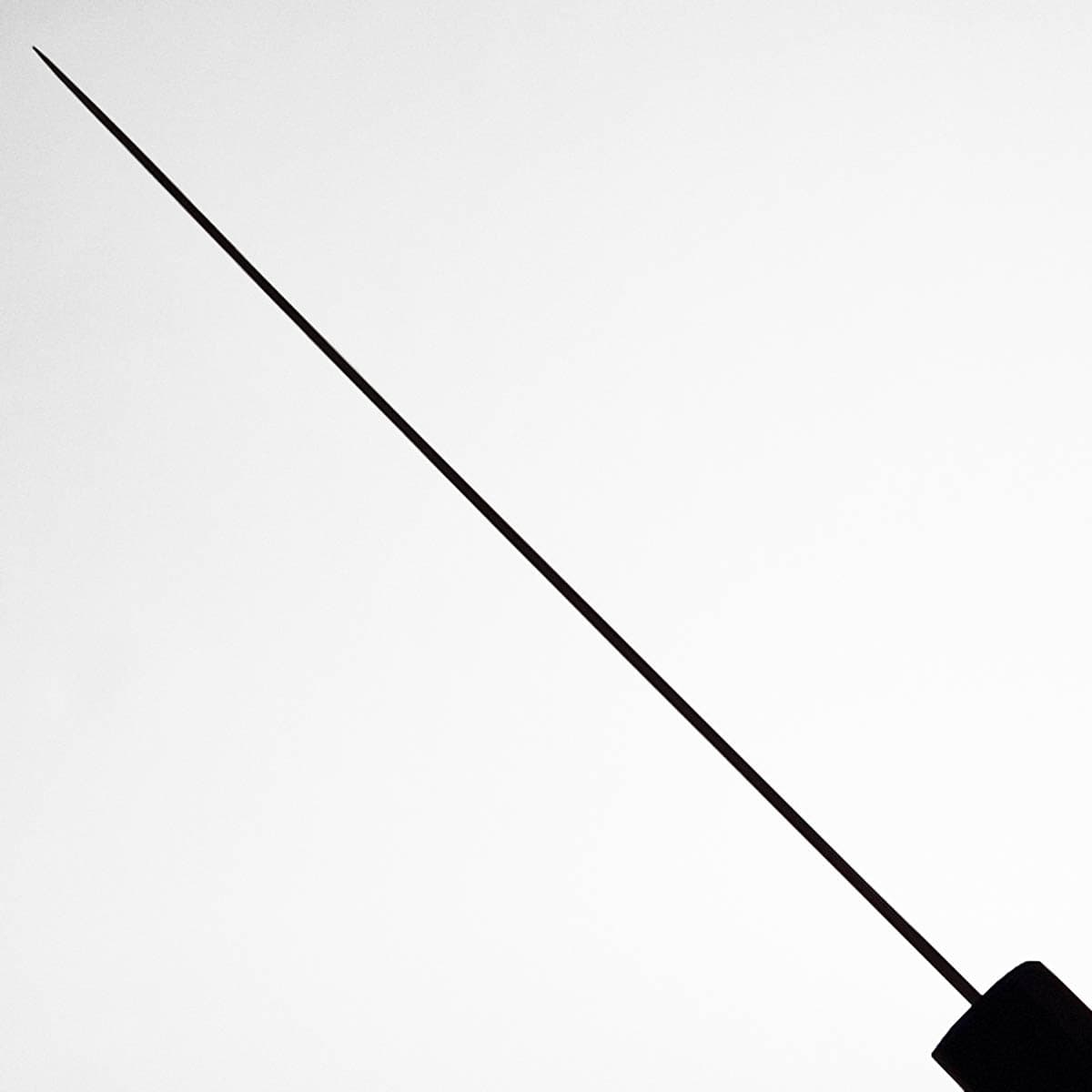 20cm Kokkekniv (Gyoto) "Akarui", SLD - HATSUKOKORO bilde 5