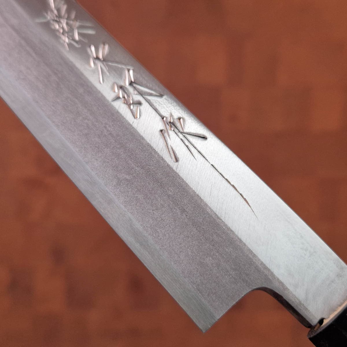 27cm Yanagiba, Venstre hendt, Shirogami II - TOJIRO bilde 3