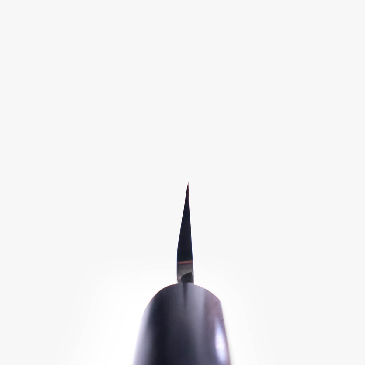 21cm Yanagiba, G3, Migaki - HARUYUKI bilde 5