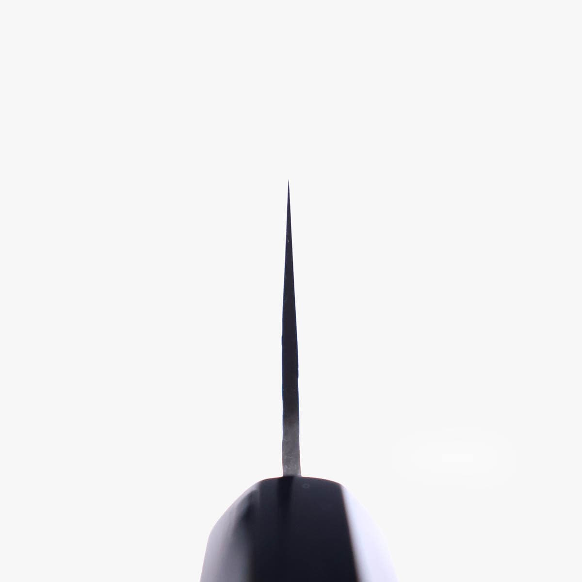 21cm Kokkekniv, TS10 (VG10)  - SAKAI KIKUMORI bilde 4