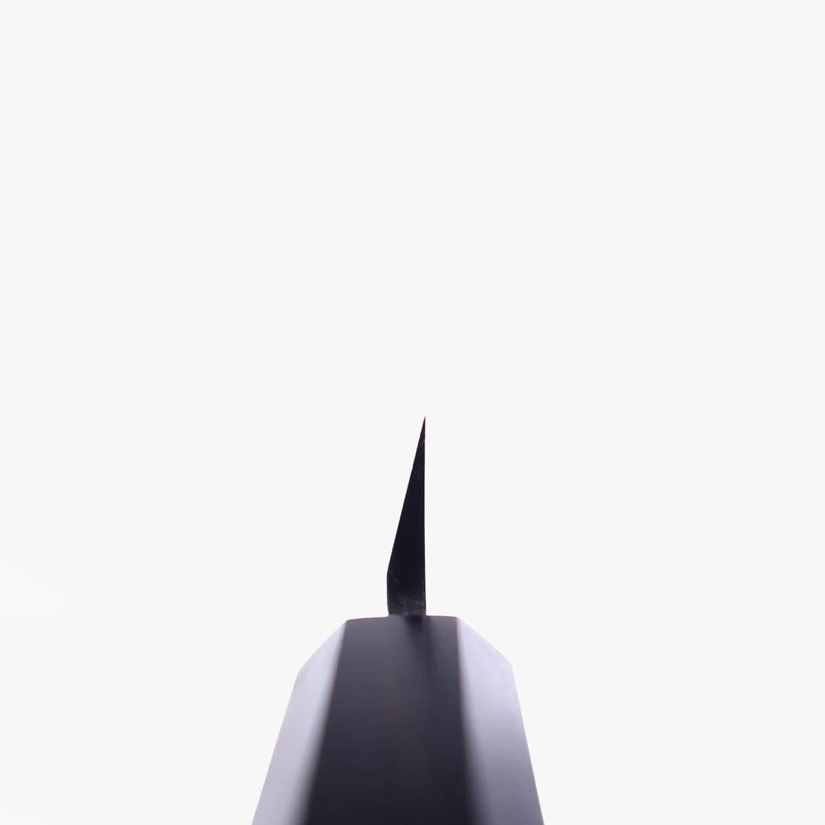 27cm Yanagiba "Bogashi" SK - TANREN bilde 5