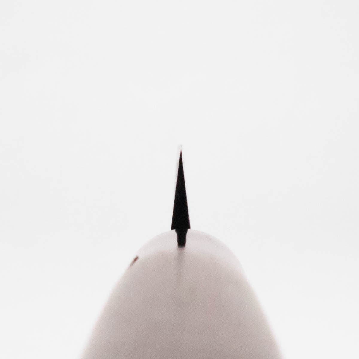 12cm Matsuba, Shiroami - HIDEO KITAOKA bilde 4