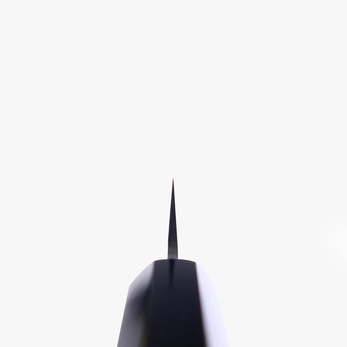 13.5cm Universalkniv, TS10 (VG10)  - SAKAI KIKUMORI bilde 4