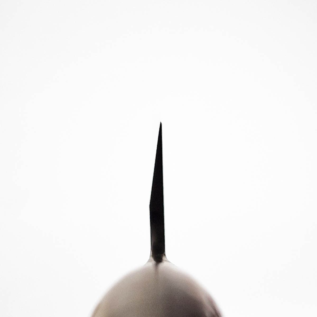 30cm Yanagiba - GLOBAL bilde 5