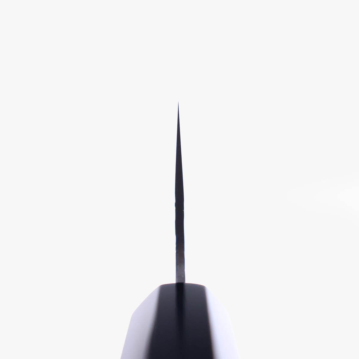16.5cm Grønnsakskniv (Nakiri), TS10 (VG10)  - SAKAI KIKUMORI bilde 4