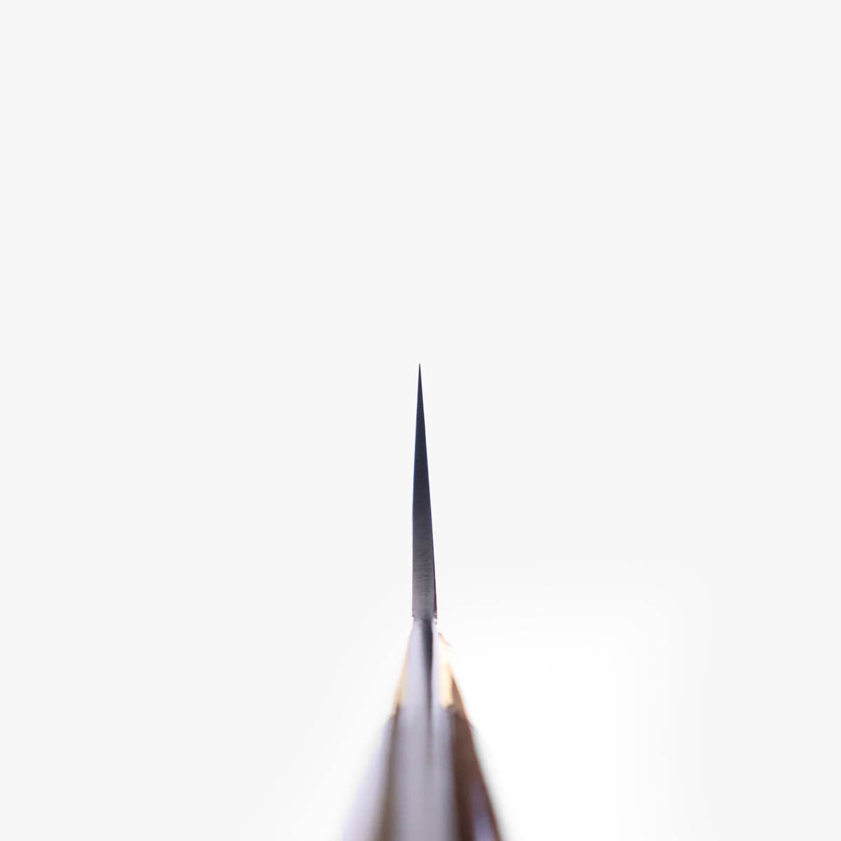 24cm Sujihiki "stag" damask, VG10 - SAJI bilde 5