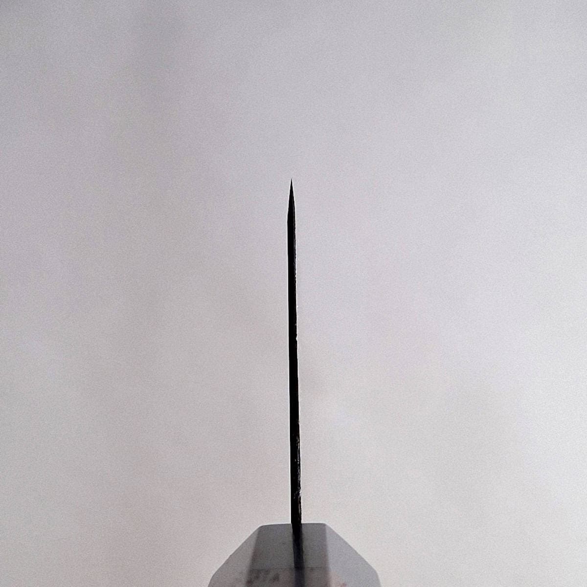 15-18cm Banno Funayuki, Super Aogami, NAS - TAKEDA bilde 5