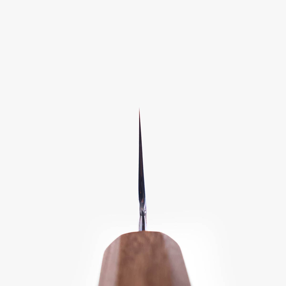 21cm Kokkekniv (gyoto), m/saya, Shirogami II - KAGEKIYO bilde 6