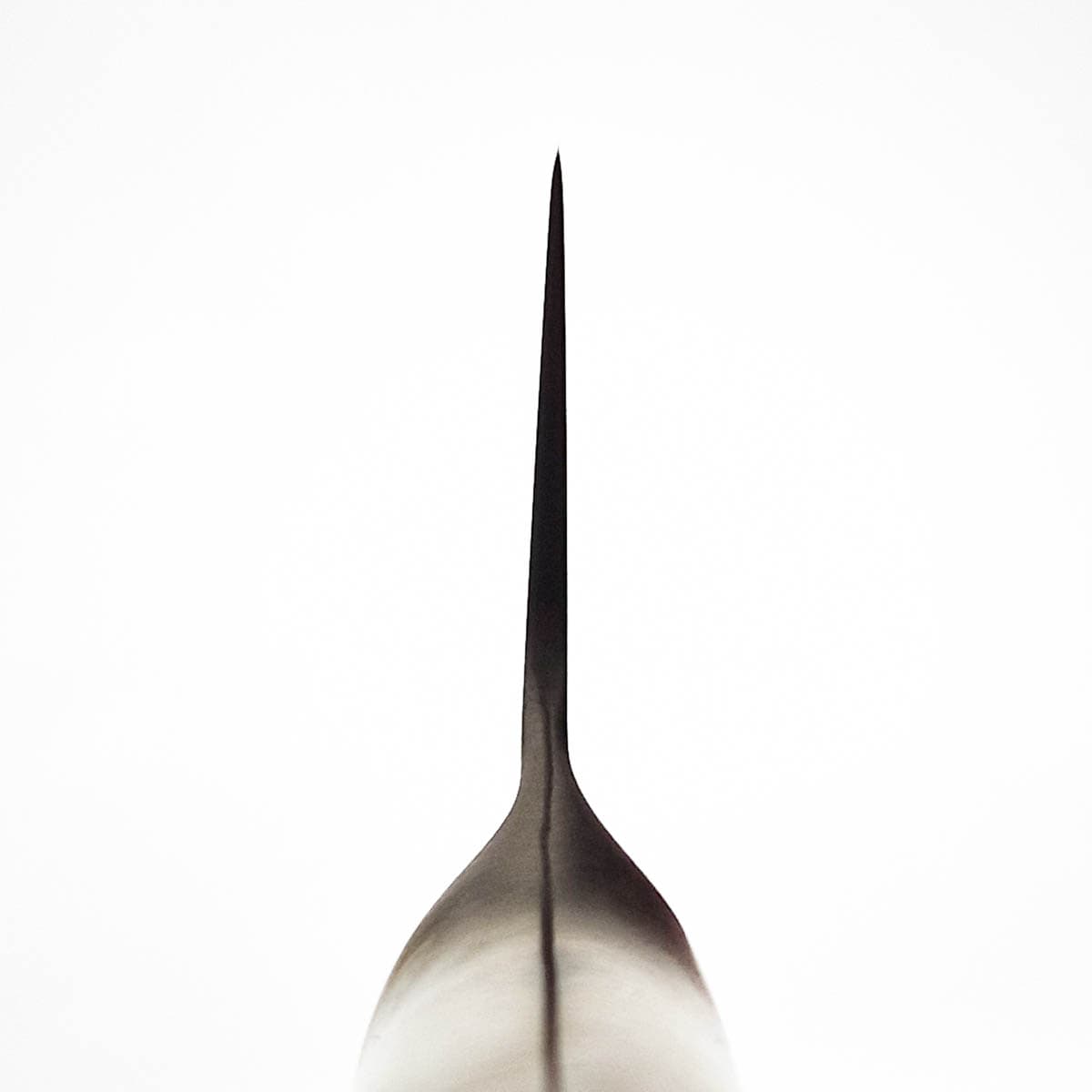 24cm Kokkekniv (gyoto) - GLOBAL bilde 4