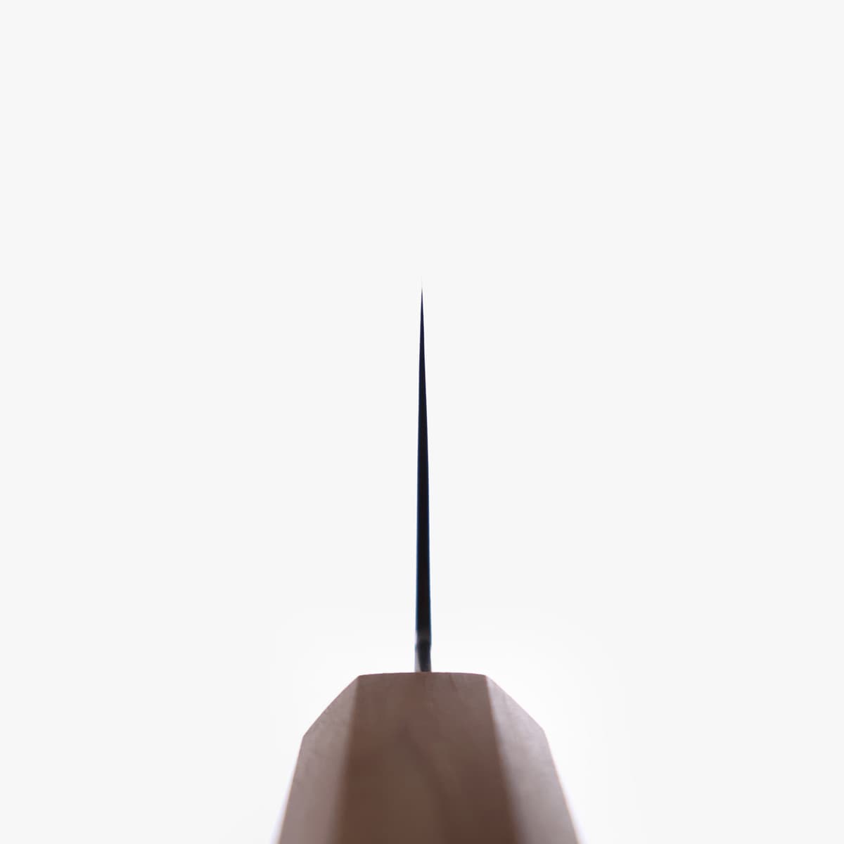 21cm Kokkekniv (gyoto), Ryuhyo, SG2 - Hatsukokoro bilde 4