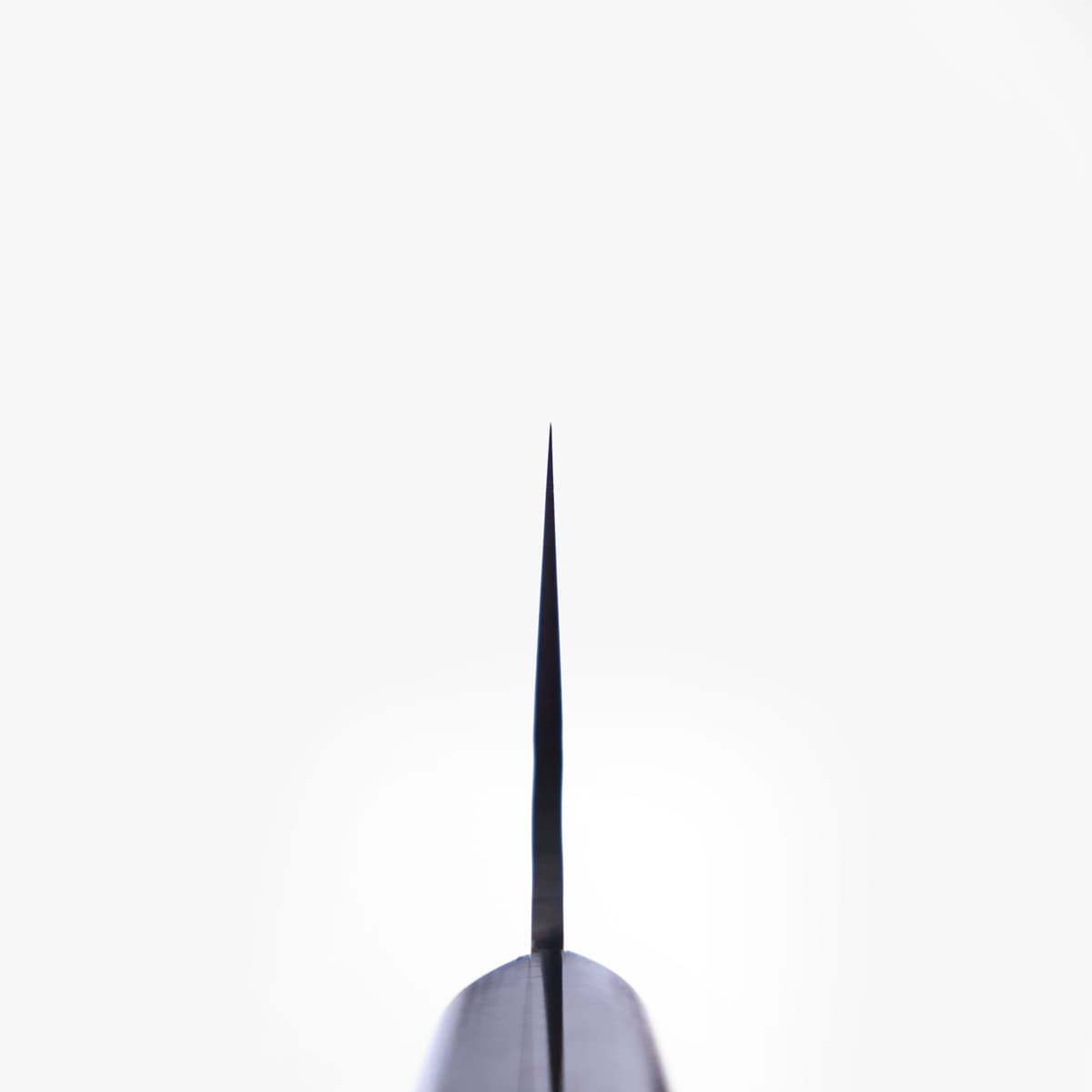 21cm Kokkekniv (gyoto), Western/Damask, VG10 - Sakai Takayuki bilde 5