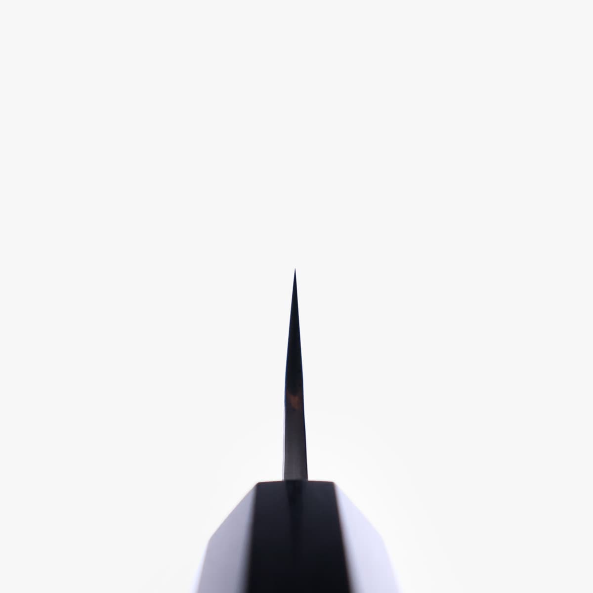 24cm Sujihiki Fujin, SG2 - YU KUROSAKI bilde 4