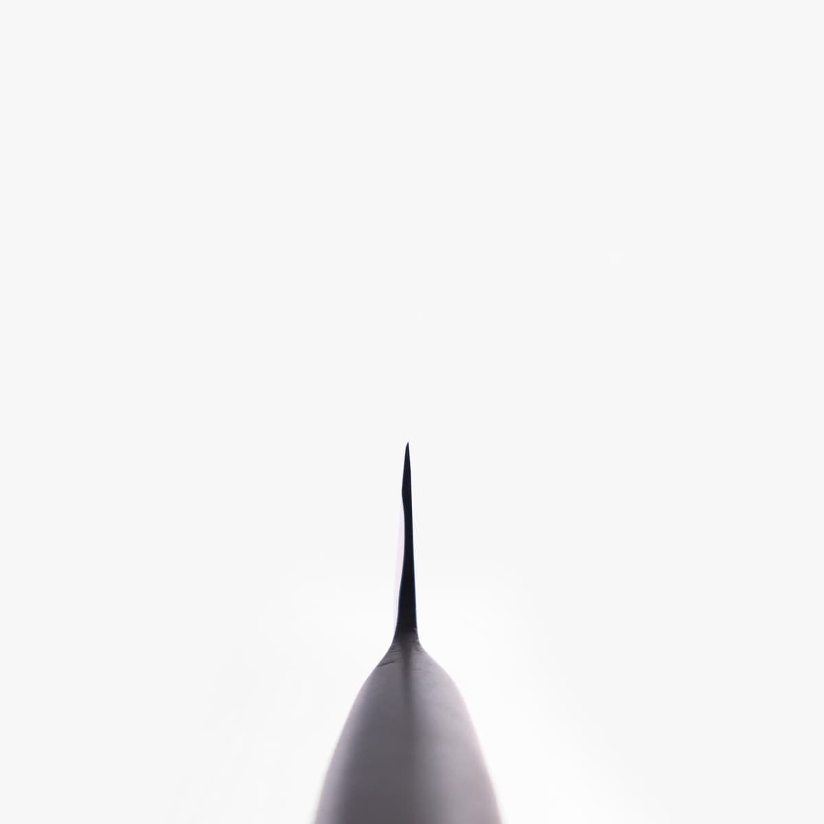 27cm Yanagiba, MV-S - MASAHIRO bilde 5