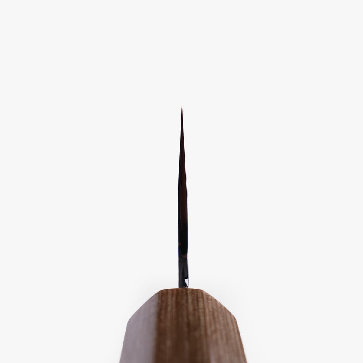 21cm Kokkekniv (gyoto) "sakura", Tsuchime, SG2 - MAKOTO KUROSAKI bilde 4