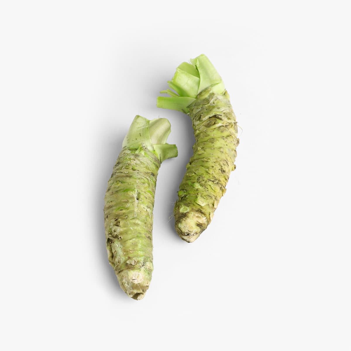 Wasabi, japansk Mazuma, fersk bilde 3