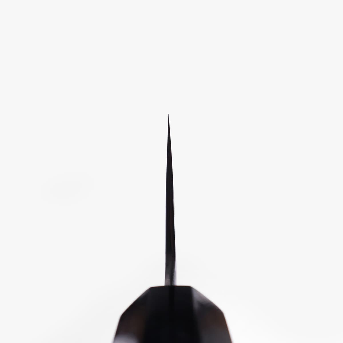24cm Kokkekniv (Gyuto) KIKUZUKI KASUMI, Shirogami - SAKAI KIKUMORI bilde 4
