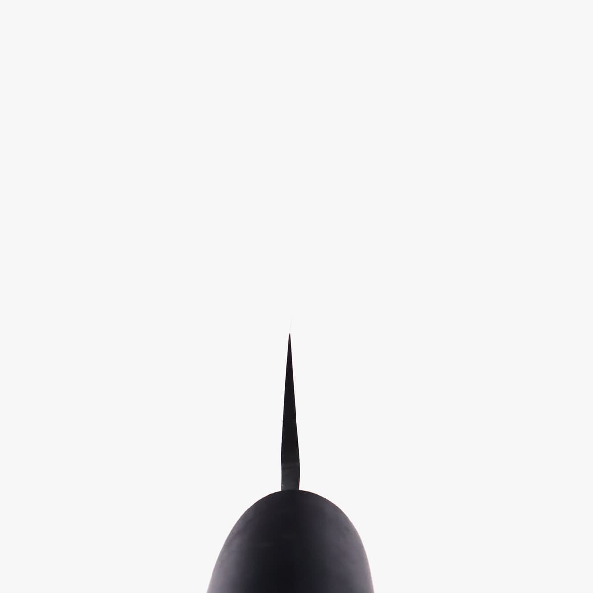 27cm Yanagiba, Molybden Vanadium - TOJIRO bilde 5