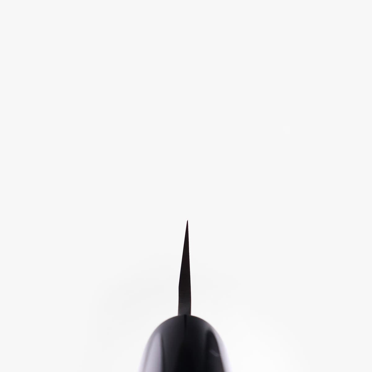 24cm Yanagiba, Molybden Vanadium - TOJIRO bilde 5
