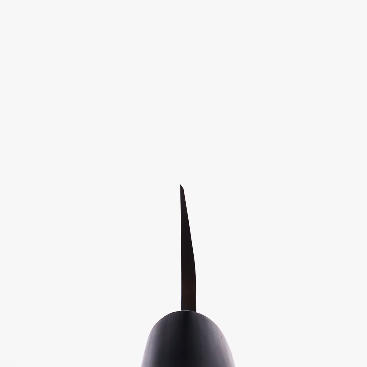 19,5cm Usuba (venstrehendt), Kanto-type, Molybden Vanadium - TOJIRO bilde 5
