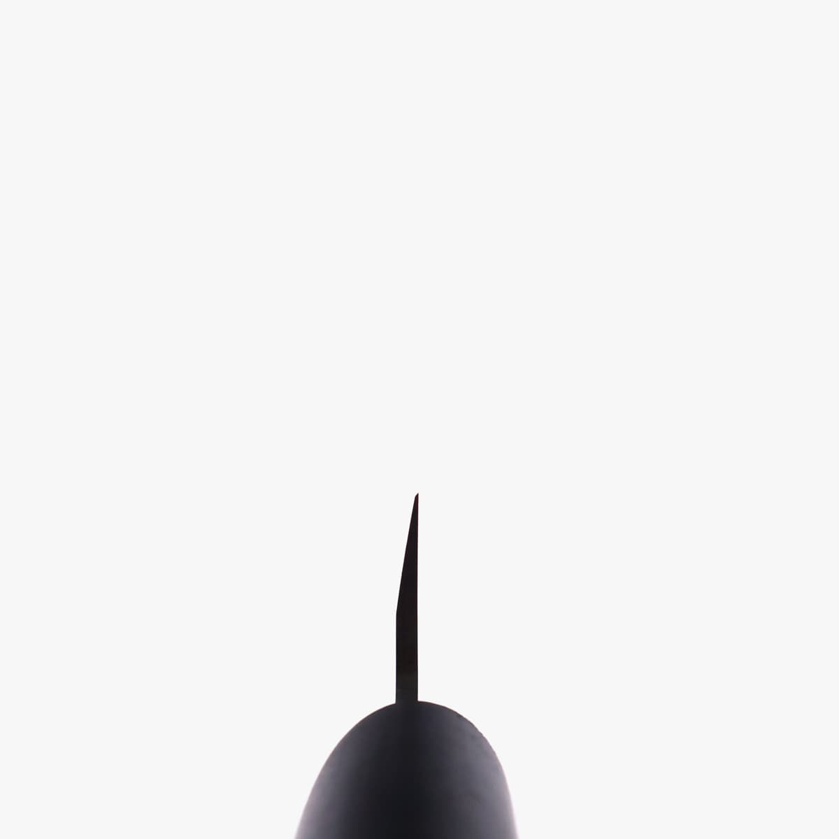 27cm Yanagiba, Molybden Vanadium - TOJIRO bilde 5