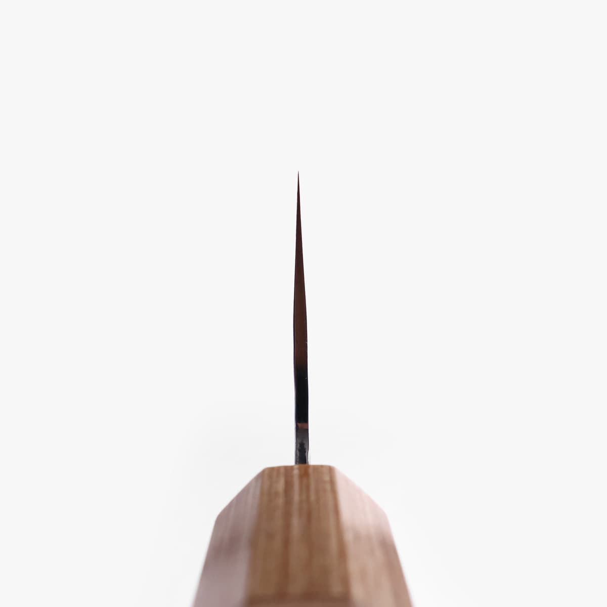24cm Kokkekniv (gyoto) "sakura", Tsuchime, SG2 - MAKOTO KUROSAKI bilde 4