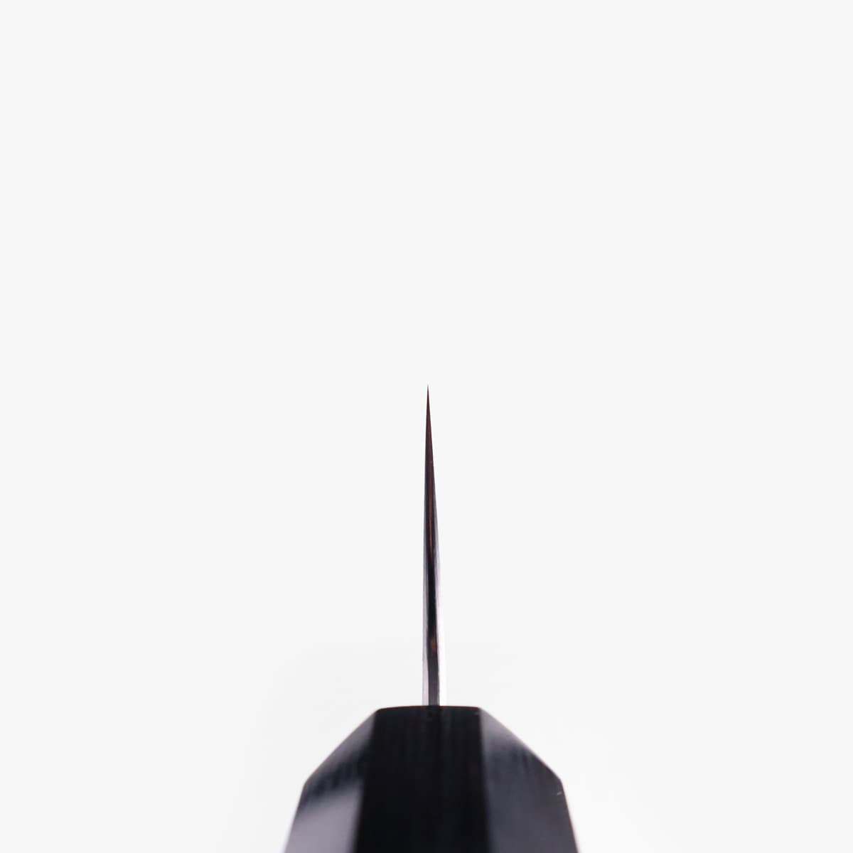 24cm Sujihiki, Chromax - SHIBATA KOTETSU bilde 4