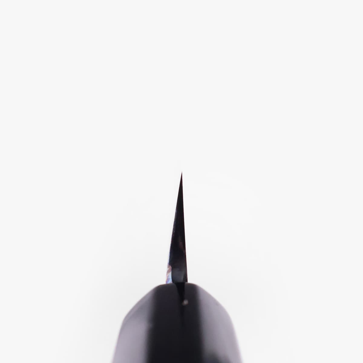 24cm Yanagiba, Shirogami II, inkl Saya - SAKAI KIKUMORI bilde 5
