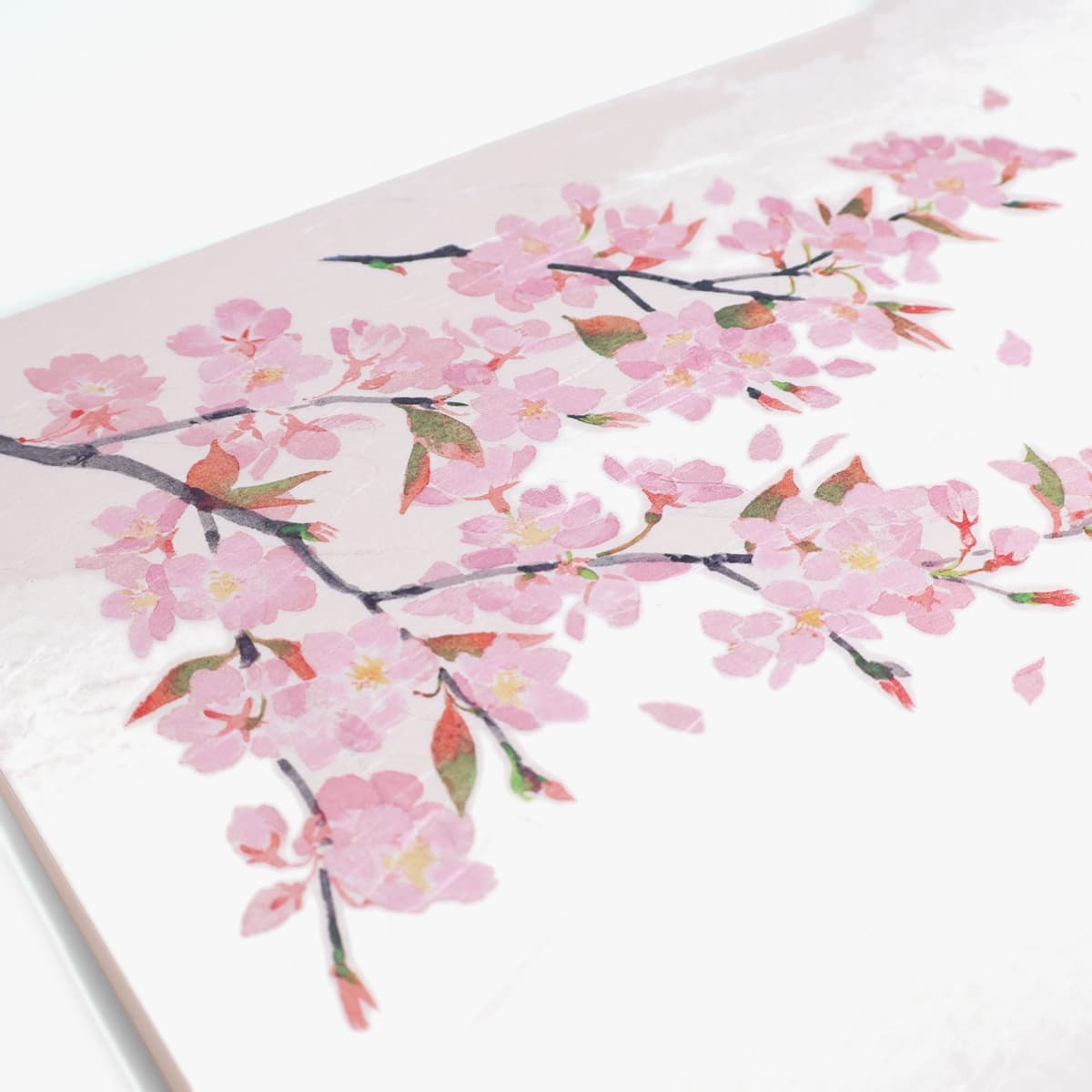 Kaiseki-matte, washi, kirsebærblomst, 50 stk (shaku-3) bilde 3