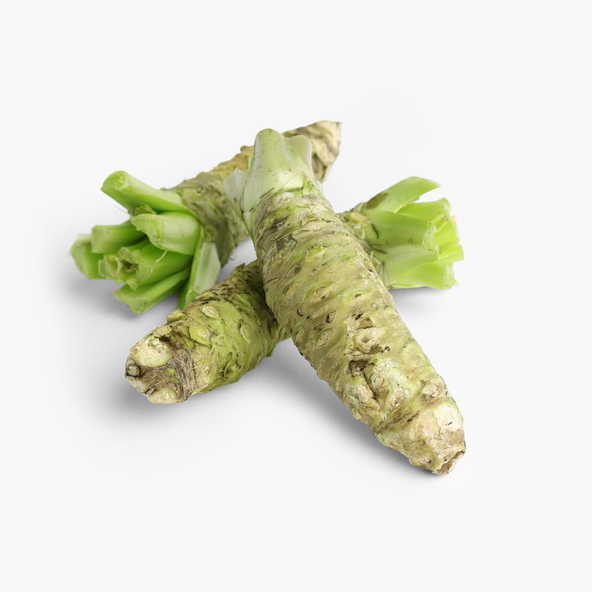 Wasabi, japansk Mazuma, fersk