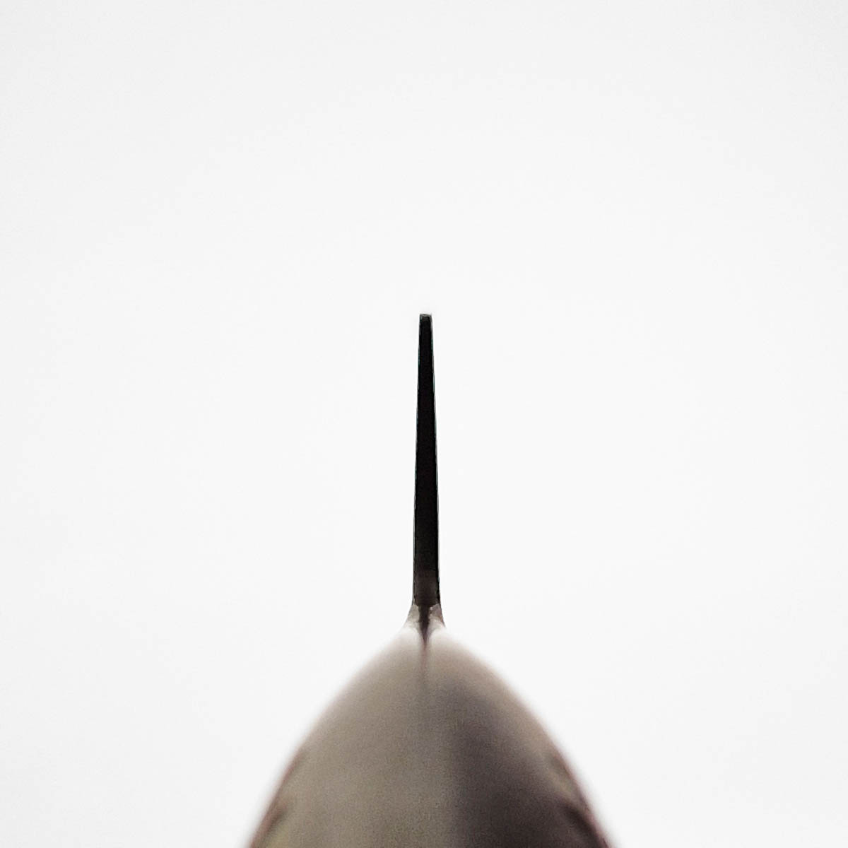 22cm Brødkniv (venstrehendt) - GLOBAL